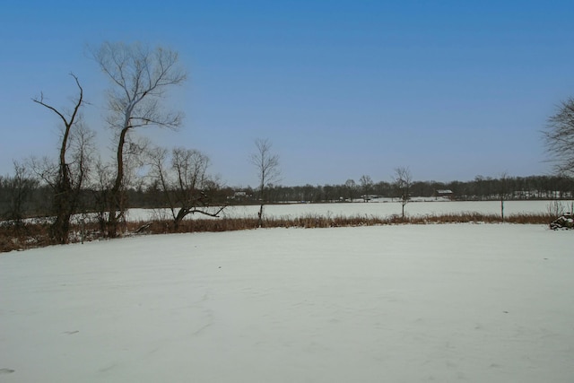 view of yard layered in snow