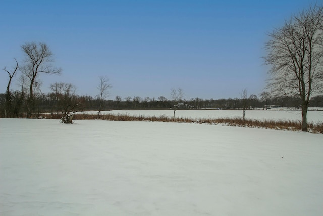 view of snowy yard