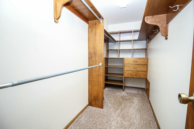 walk in closet with light colored carpet