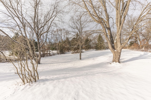 view of yard covered in snow