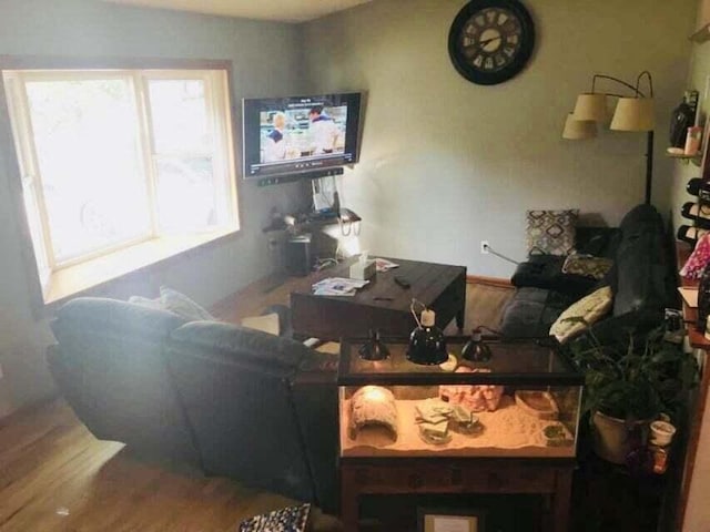 living room with hardwood / wood-style flooring