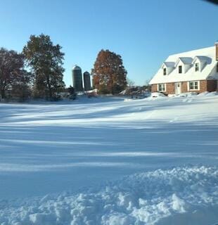 view of yard covered in snow