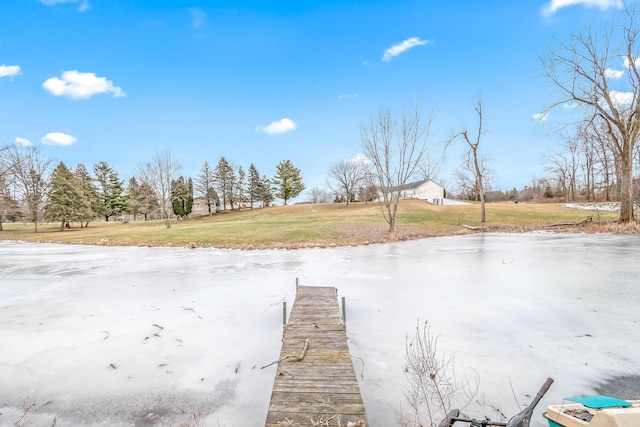 dock area with a lawn