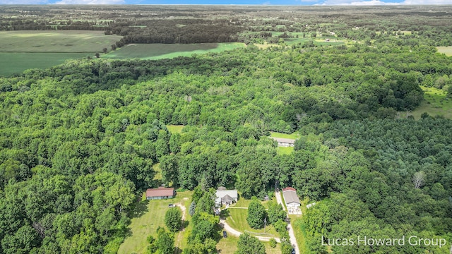 3155 Cowboy Cove Ln, Ionia, MI 48846 - photo 3