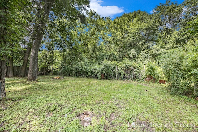 3155 Cowboy Cove Ln, Ionia, MI 48846 - photo 22