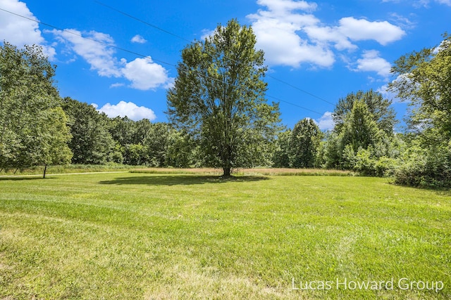 3155 Cowboy Cove Ln, Ionia, MI 48846 - photo 23