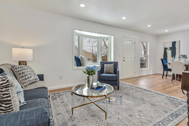 living room with a healthy amount of sunlight and wood-type flooring