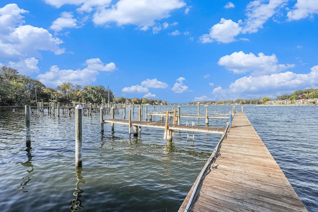 dock area featuring a water view