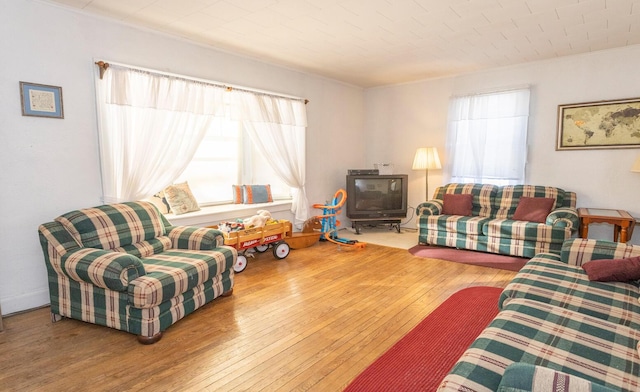 living room with hardwood / wood-style floors and a wood stove