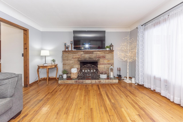 living room featuring wood-type flooring, crown molding, and a fireplace