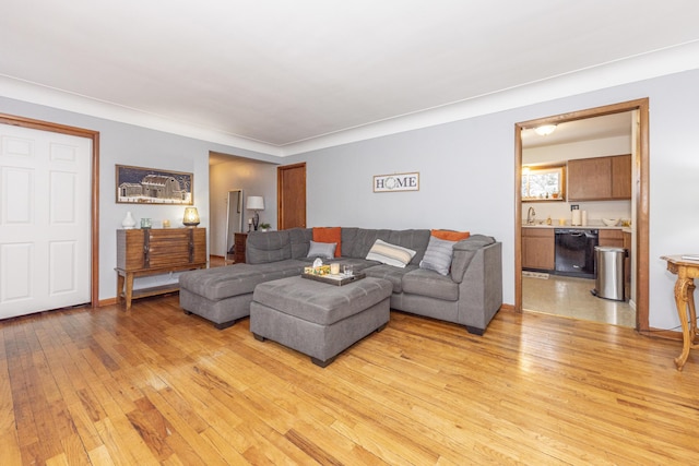 living room featuring ornamental molding, light hardwood / wood-style flooring, and sink