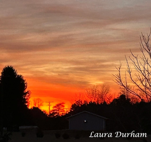 view of nature at dusk