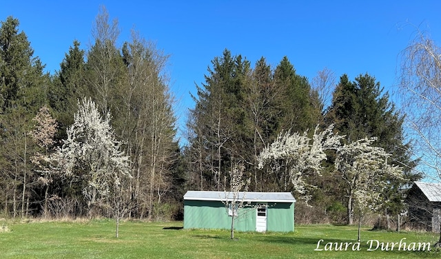 view of yard with a shed