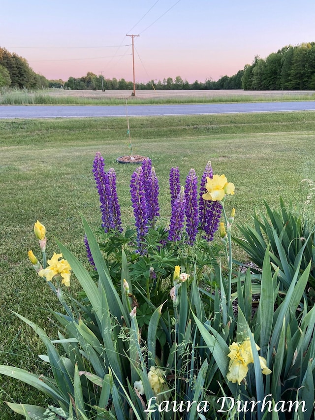 yard at dusk featuring a water view