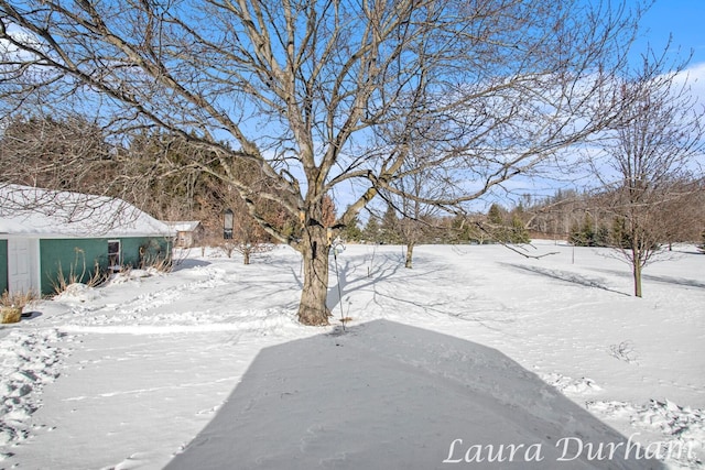 view of yard covered in snow