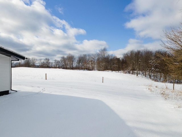 view of yard layered in snow