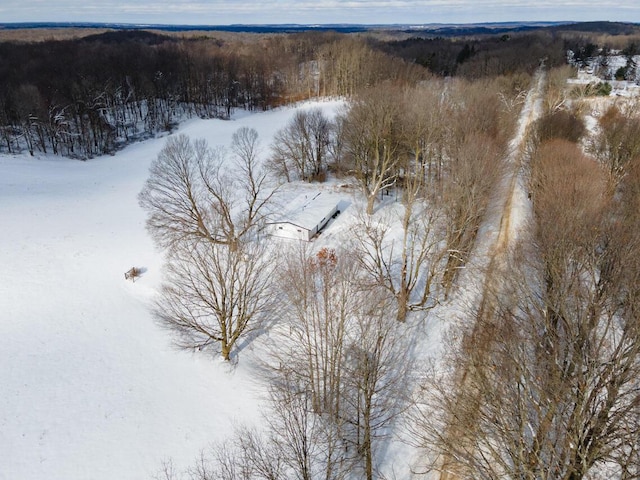 view of snowy aerial view