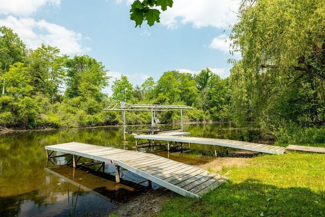 dock area with a water view