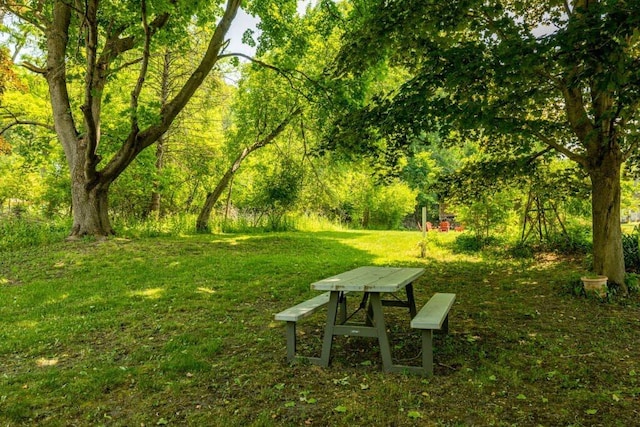 view of community with a yard