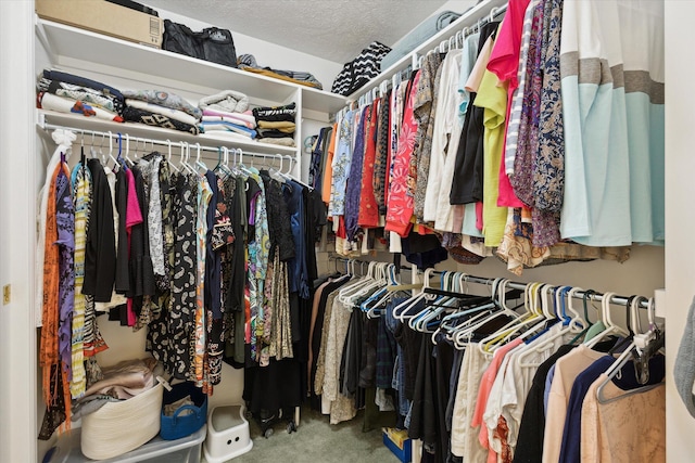 walk in closet featuring carpet floors