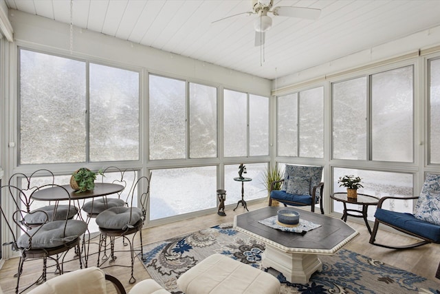 sunroom featuring ceiling fan and a healthy amount of sunlight