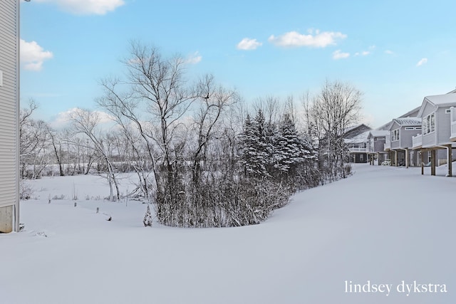 view of yard covered in snow