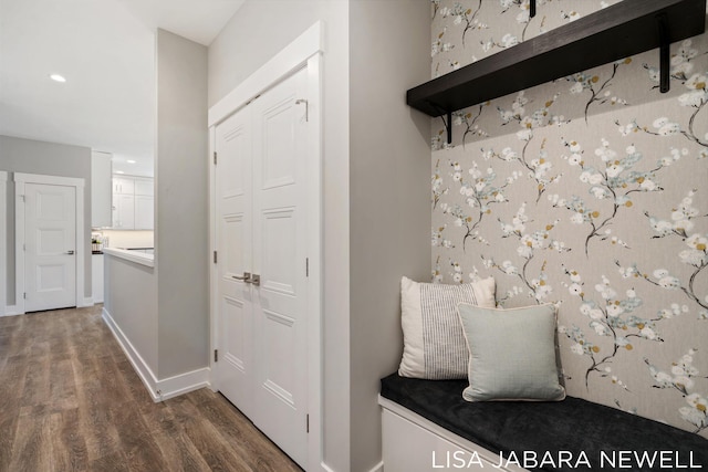 mudroom featuring dark wood-type flooring