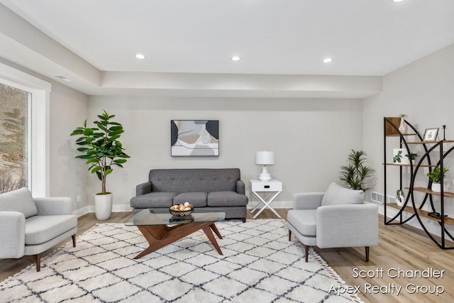 living room featuring a healthy amount of sunlight and light hardwood / wood-style flooring