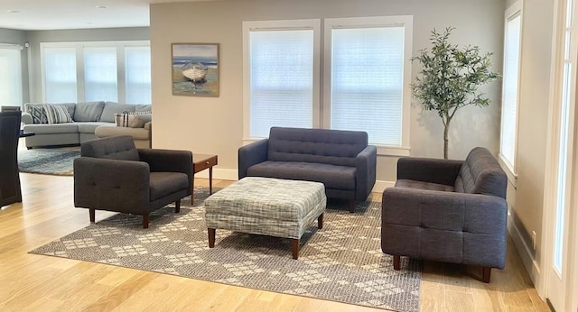 living room featuring light wood-type flooring