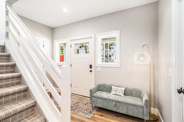 foyer featuring hardwood / wood-style flooring and a healthy amount of sunlight