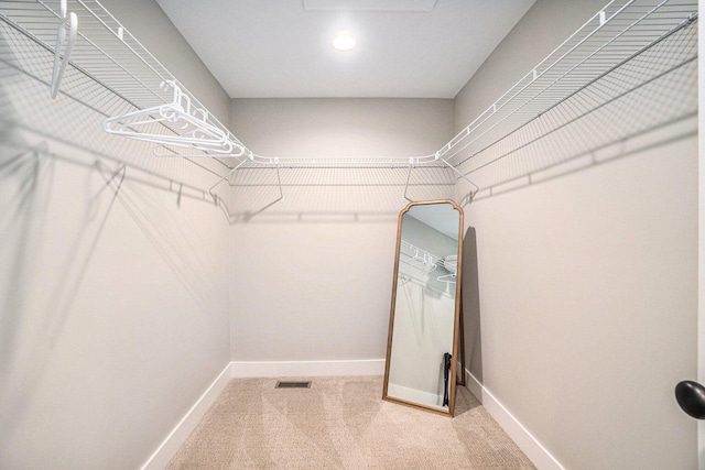 walk in closet featuring carpet