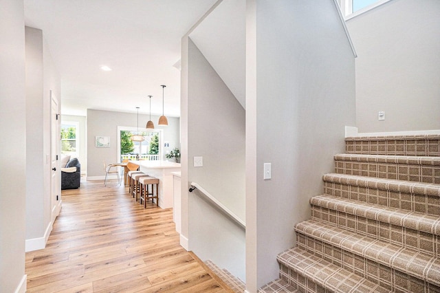 stairway with hardwood / wood-style flooring