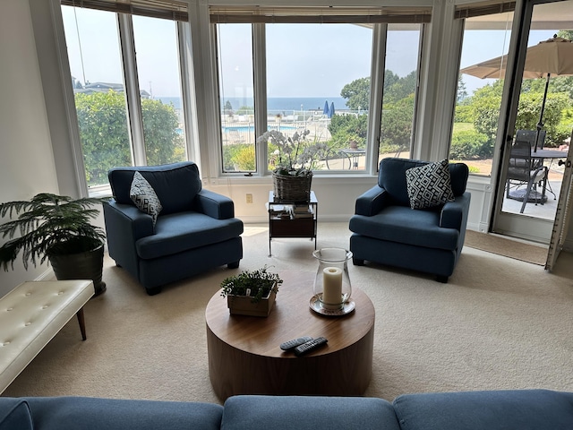 living room with carpet