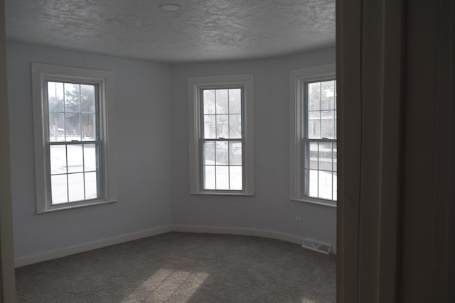 spare room featuring carpet floors and a textured ceiling