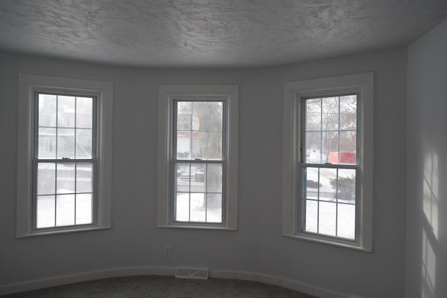 unfurnished room with carpet flooring, a textured ceiling, and a wealth of natural light