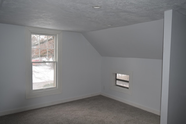 additional living space featuring vaulted ceiling, carpet floors, and a textured ceiling