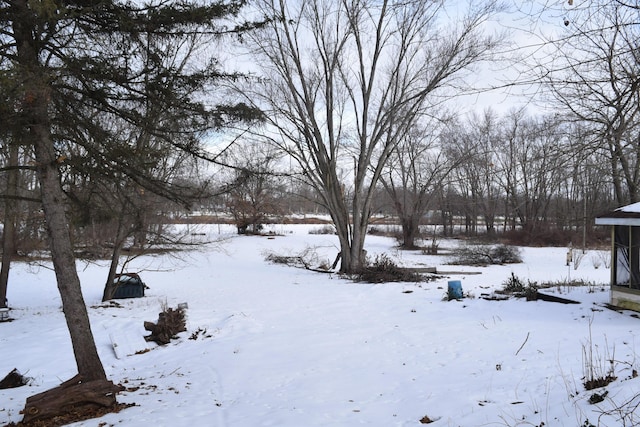 view of snowy yard