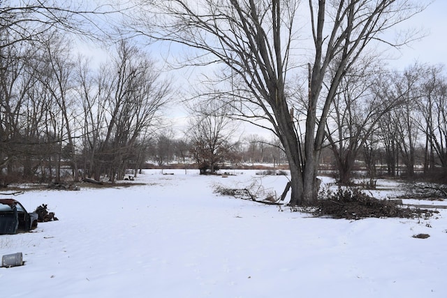 view of snowy yard