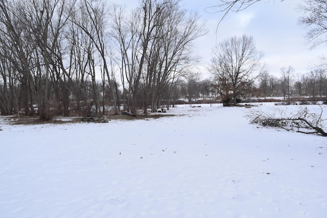 view of snowy yard