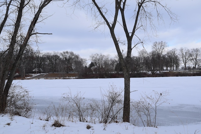 view of yard layered in snow