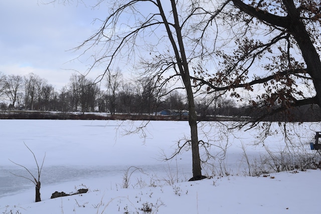 view of yard covered in snow