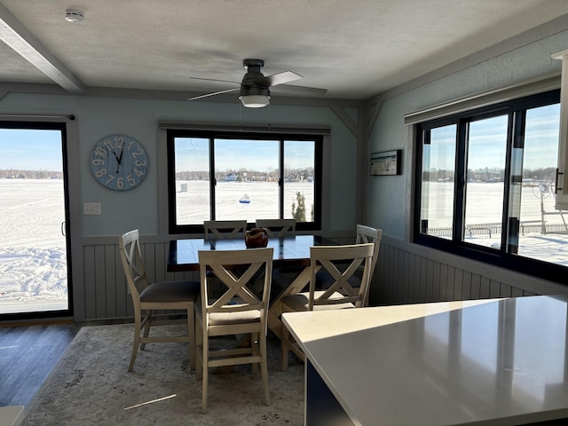 dining room with a wainscoted wall, wood finished floors, and a healthy amount of sunlight