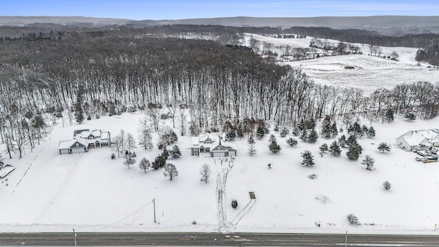 snowy aerial view featuring a mountain view