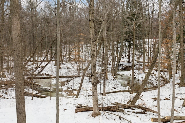 view of snowy landscape