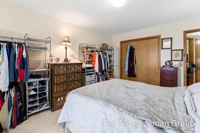 carpeted bedroom with a closet