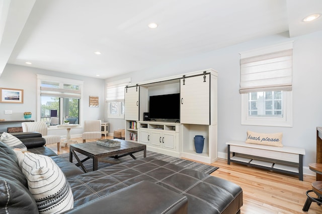 living room featuring hardwood / wood-style flooring