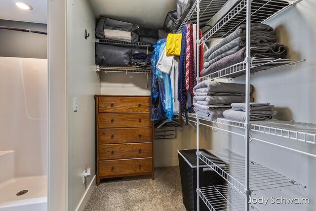 spacious closet with carpet