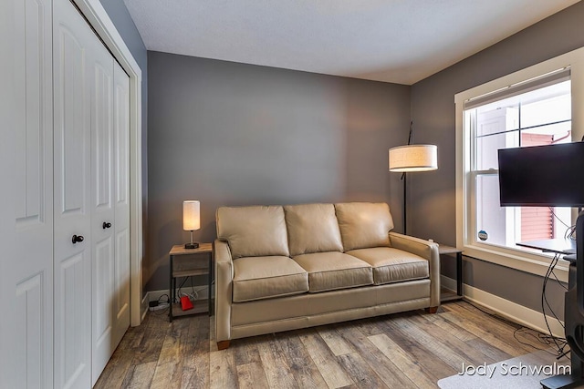 living room with wood-type flooring