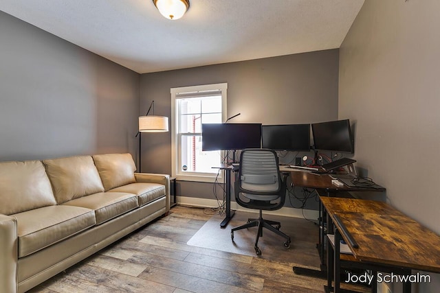 office featuring wood-type flooring