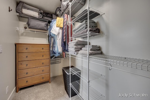 walk in closet with carpet floors